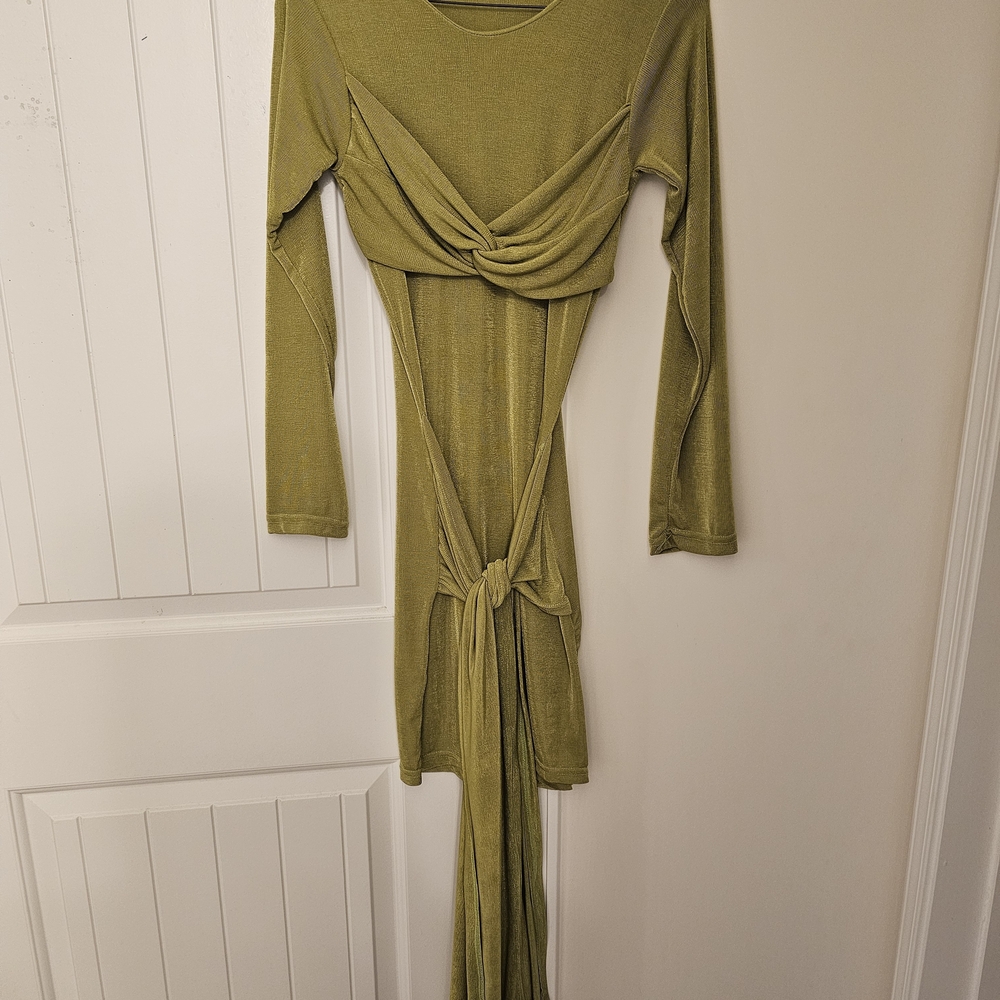 Chic Long Sleeve Olive Dress